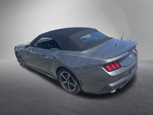 Used 2025 Ford Mustang Premium RWD image 8