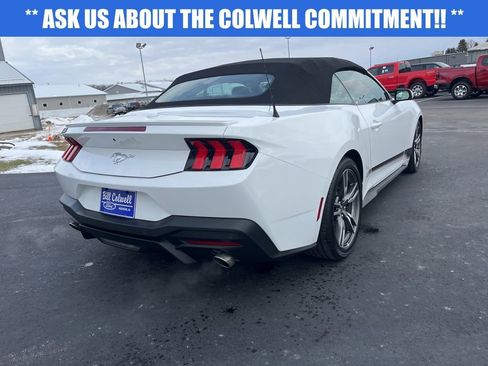 Used 2025 Ford Mustang Premium w/ Wheel & Stripe Package image 4