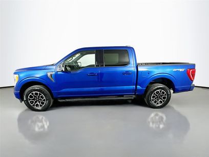 Used 2023 Ford F150 XLT w/ Equipment Group 302A High