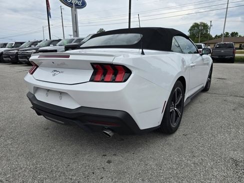 Used 2024 Ford Mustang Premium image 3