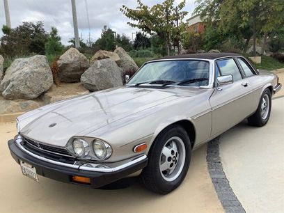 Used 1988 Jaguar XJS V12 Convertible