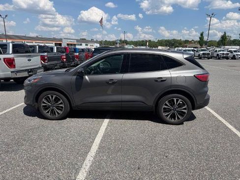 Certified 2022 Ford Escape SEL w/ SEL Stealth AWD Package image 5