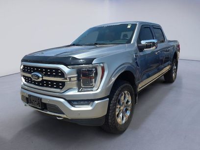 Used 2023 Ford F150 Platinum