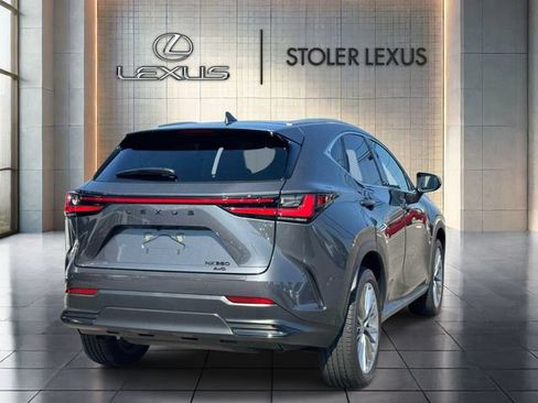 Used 2025 Lexus NX 350 AWD w/ Cold Area Package image 5