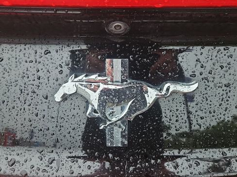 Used 2017 Ford Mustang Coupe w/ Enhanced Security Package RWD image 13