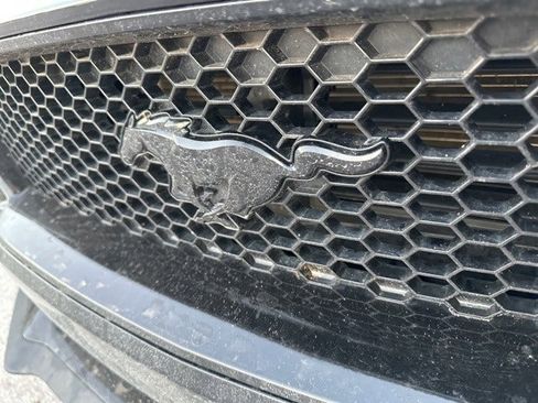 Used 2021 Ford Mustang GT w/ Equipment Group 301A image 13