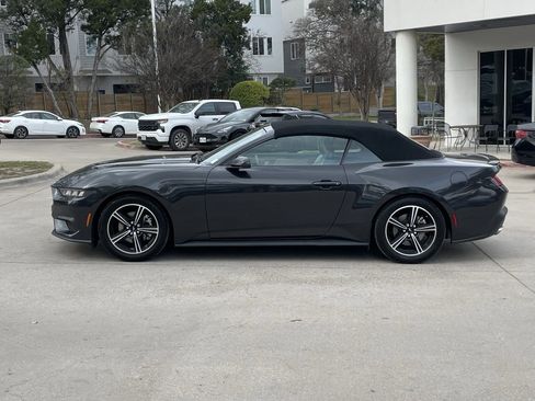 Used 2024 Ford Mustang Premium image 3