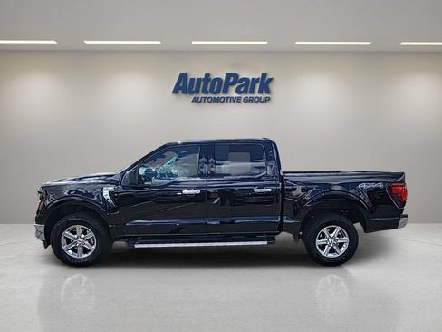 Used 2025 Ford F150 XLT w/ Equipment Group 301A Standard AWD/4WD image 4