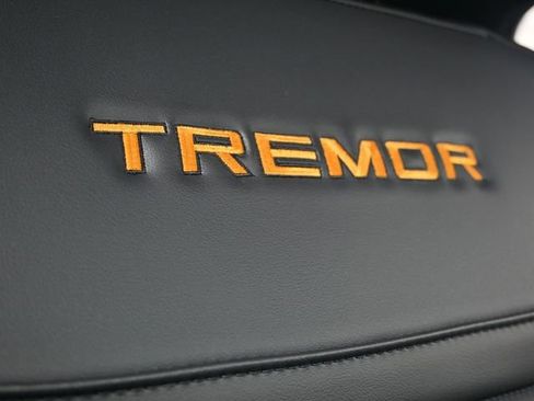 New 2026 Ford Expedition Tremor image 19