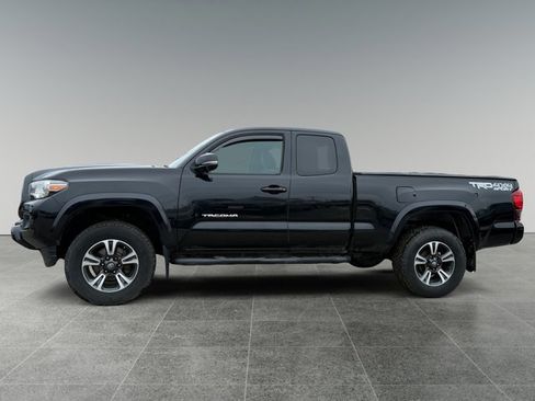 Used 2019 Toyota Tacoma TRD Sport w/ Technology Package image 2