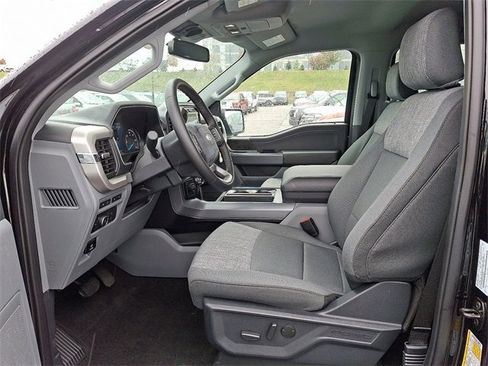 New 2023 Ford F150 XLT w/ Equipment Group 302A High image 6