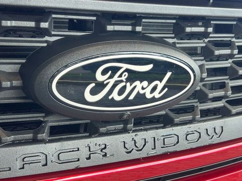 New 2025 Ford F150 XLT w/ Equipment Group 303A High image 20