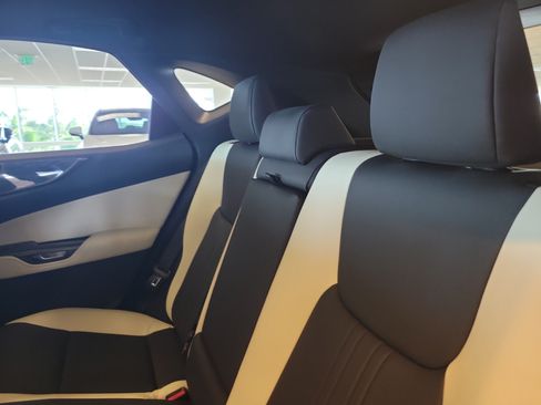 Certified 2024 Lexus NX 250 FWD image 14