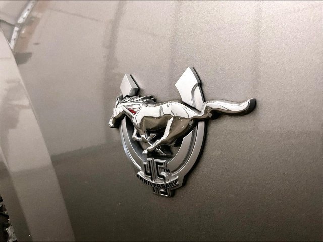 Used 2009 Ford Mustang GT Premium RWD image 13