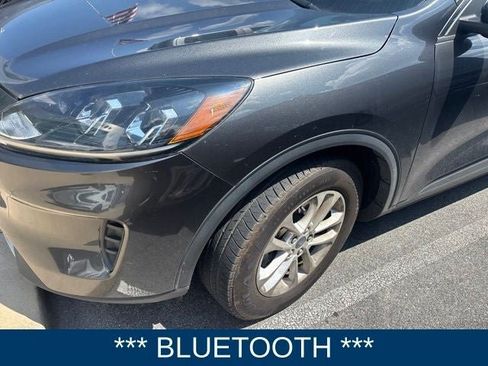 Used 2020 Ford Escape SE AWD/4WD image 2
