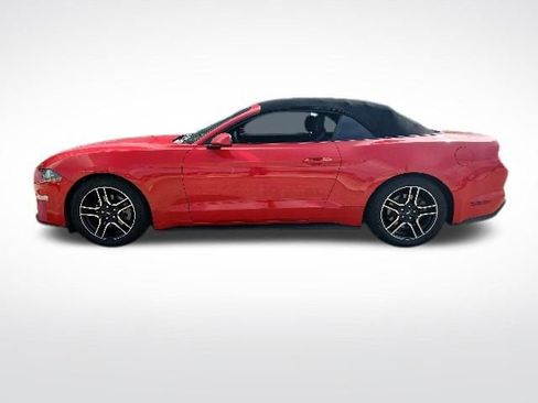 Used 2019 Ford Mustang Convertible RWD image 6