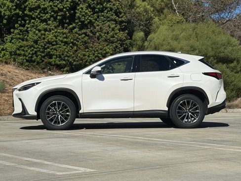 Certified 2024 Lexus NX 350 AWD w/ Vision Package image 6