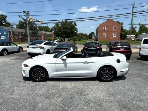 Used 2019 Ford Mustang Premium image 23