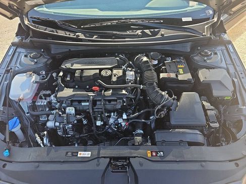 New 2026 Hyundai Elantra N Line FWD image 11