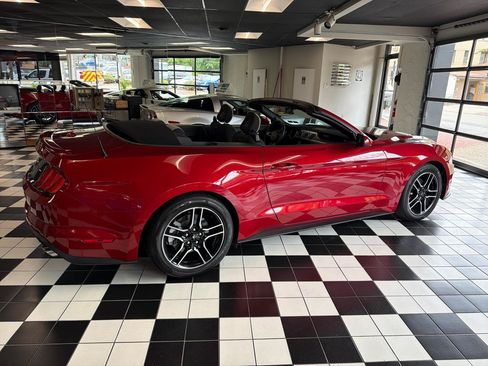 Used 2020 Ford Mustang Convertible w/ Equipment Group 101A RWD image 4