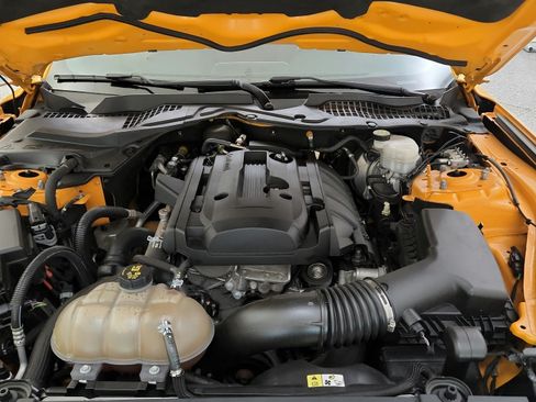 Used 2018 Ford Mustang Coupe w/ Equipment Group 101A RWD image 26