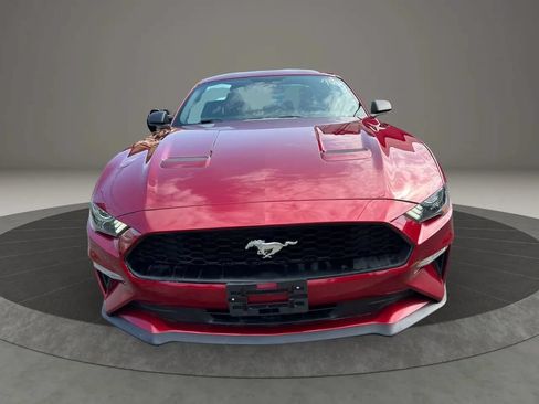 Used 2018 Ford Mustang Coupe RWD image 2