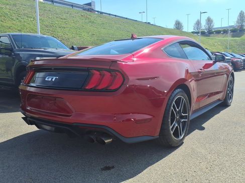 Used 2021 Ford Mustang GT w/ Equipment Group 301A image 5