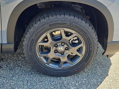 New 2026 Honda Pilot TrailSport