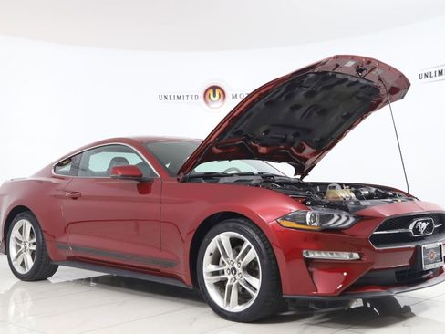 Used 2019 Ford Mustang Premium w/ Pony Package RWD image 24