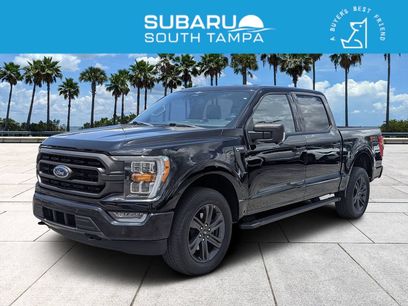 Used 2023 Ford F150 XLT w/ Equipment Group 302A High