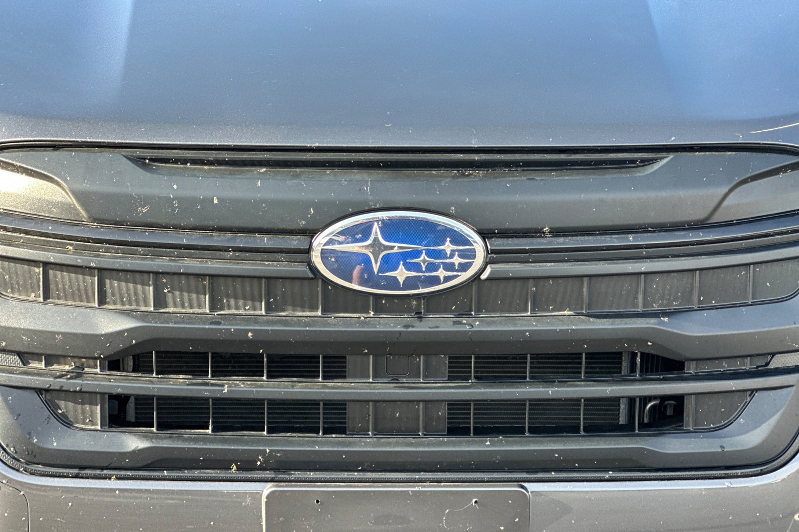 Used 2025 Subaru Forester AWD/4WD image 43