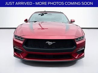 Used 2024 Ford Mustang Premium RWD video 2
