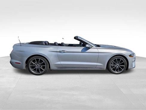 Used 2019 Ford Mustang Premium w/ Equipment Group 201A image 4