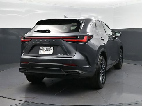 Used 2025 Lexus NX 250 FWD w/ Accessory Package (Z1) image 7