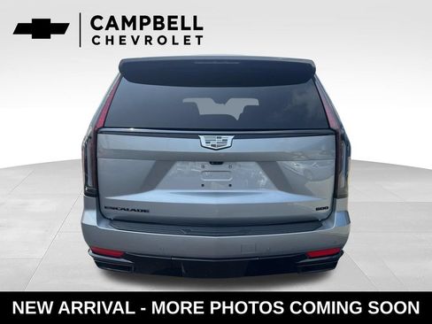 Used 2024 Cadillac Escalade Sport w/ LPO, ONYX Package AWD/4WD image 4