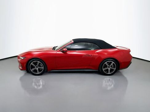 Used 2024 Ford Mustang Premium image 4