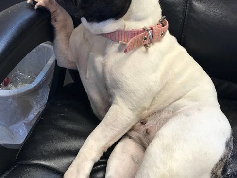 Used 2013 Kia Soul + w/ Audio Pkg image 38