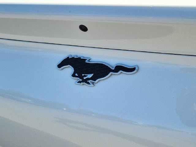 Used 2024 Ford Mustang Mach-E Premium RWD image 7