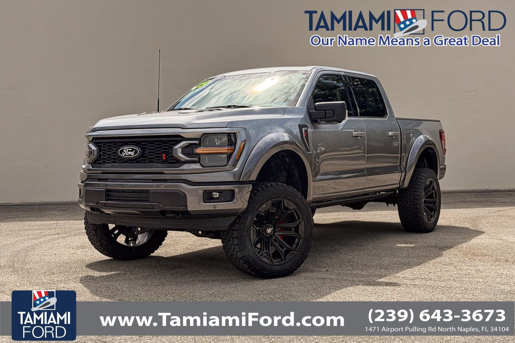 Used 2025 Ford F150 XLT w/ Equipment Group 303A High AWD/4WD image 1