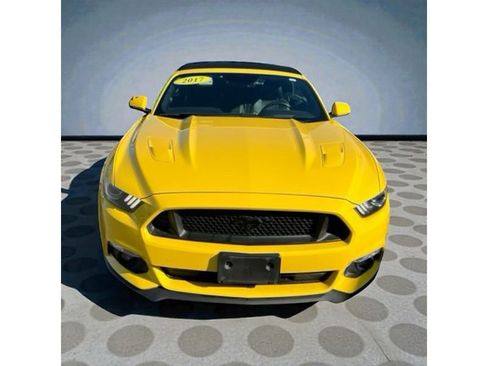 Used 2017 Ford Mustang GT Premium w/ Equipment Group 401A image 3