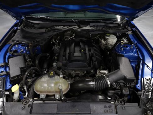 Used 2019 Ford Mustang Coupe RWD image 20