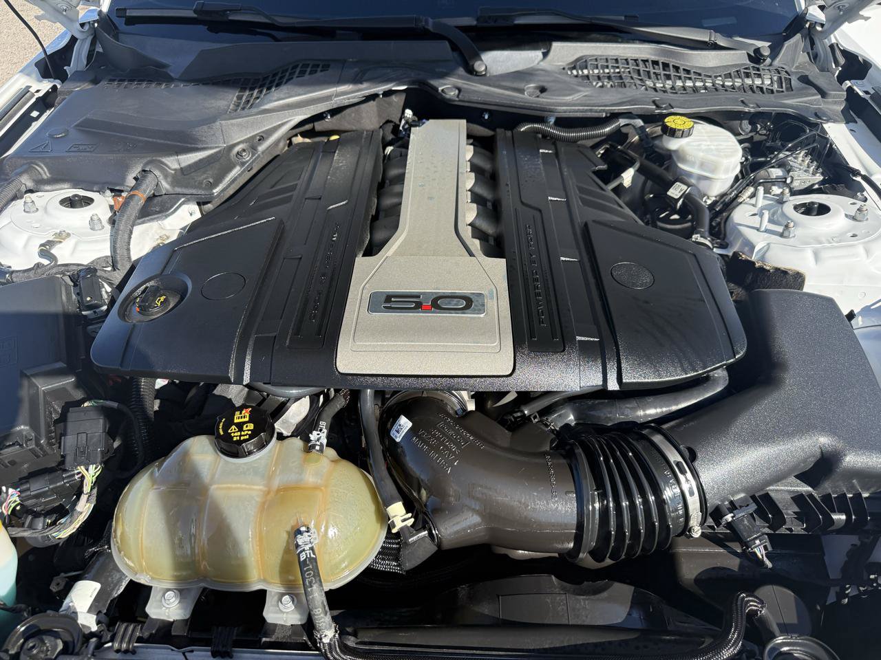 Used 2019 Ford Mustang GT Premium RWD image 22