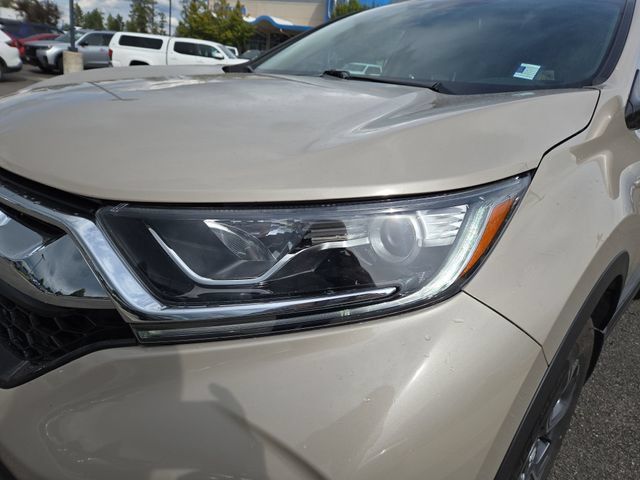Used 2019 Honda CR-V EX-L image 7