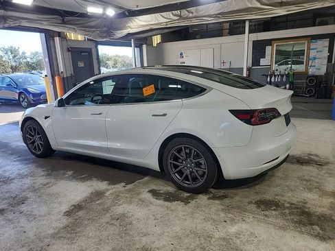 Used 2019 Tesla Model 3 Standard Range Plus image 3