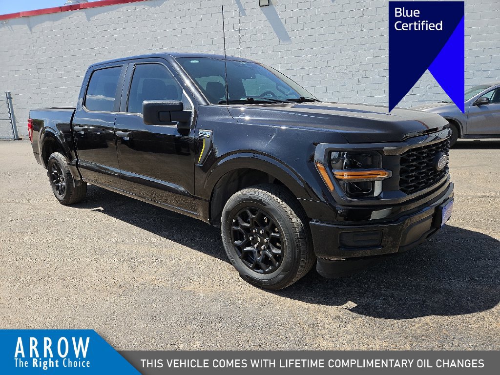 Certified 2025 Ford F150 STX RWD image 1