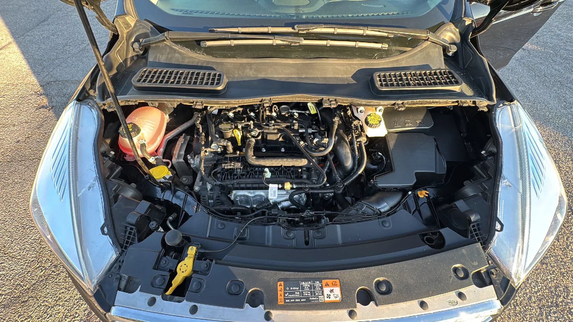 Used 2019 Ford Escape SE AWD/4WD image 19