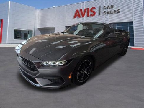 Used 2025 Ford Mustang Premium RWD image 1
