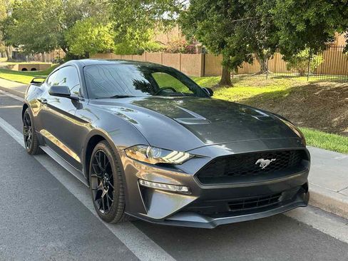 Used 2019 Ford Mustang Premium w/ Ecoboost Performance Package RWD image 2