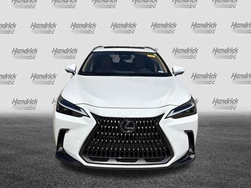 Certified 2026 Lexus NX 350 AWD w/ Cold Area Package image 3