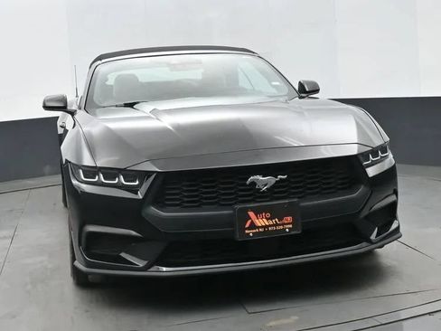 Used 2024 Ford Mustang Premium RWD image 3